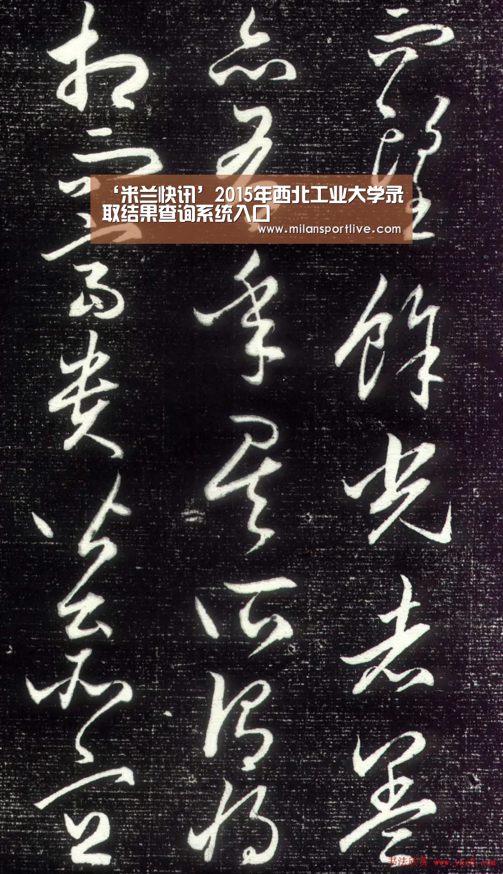 ‘米兰快讯’2015年西北工业大学录取结果查询系统入口(图2) 米兰游戏