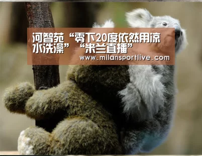 河智苑“零下20度依然用凉水洗澡”“米兰直播”(图1) 米兰快讯